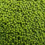 Moong