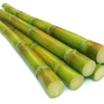 Sugarcane