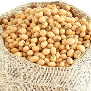 Soybean