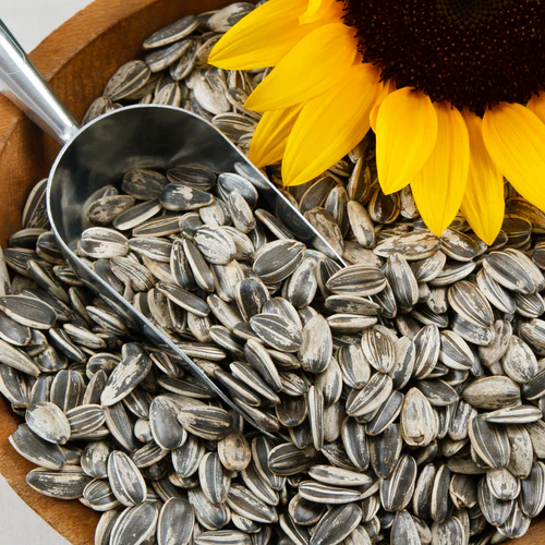 sunflower_seeds